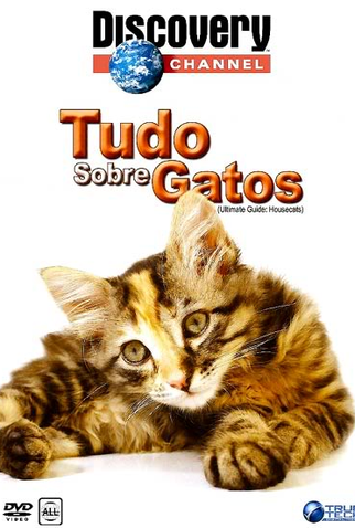 Poster 1 de Filme Tudo Sobre Gatos (2000)