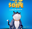 Um Gato de Sorte