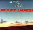 The Draft Horse 
