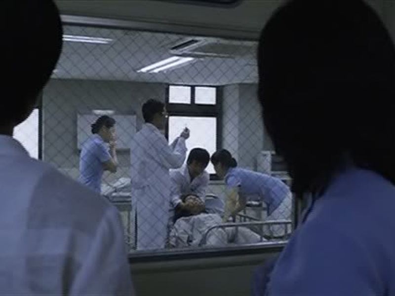 Foto 12 de Vegetarian