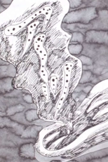 10 Nights’ Dreams (夢10夜)