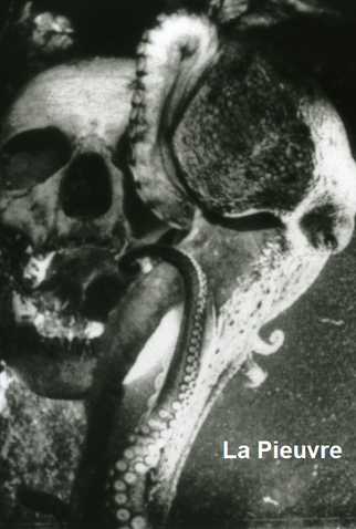 Poster 1 de Curta La Pieuvre (1928)