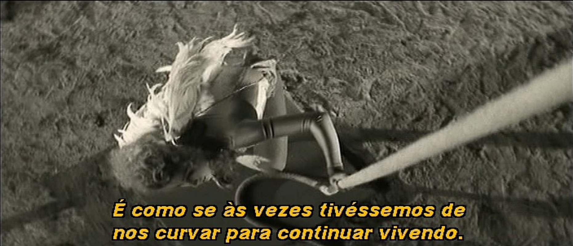 Marcelo - Foto 5