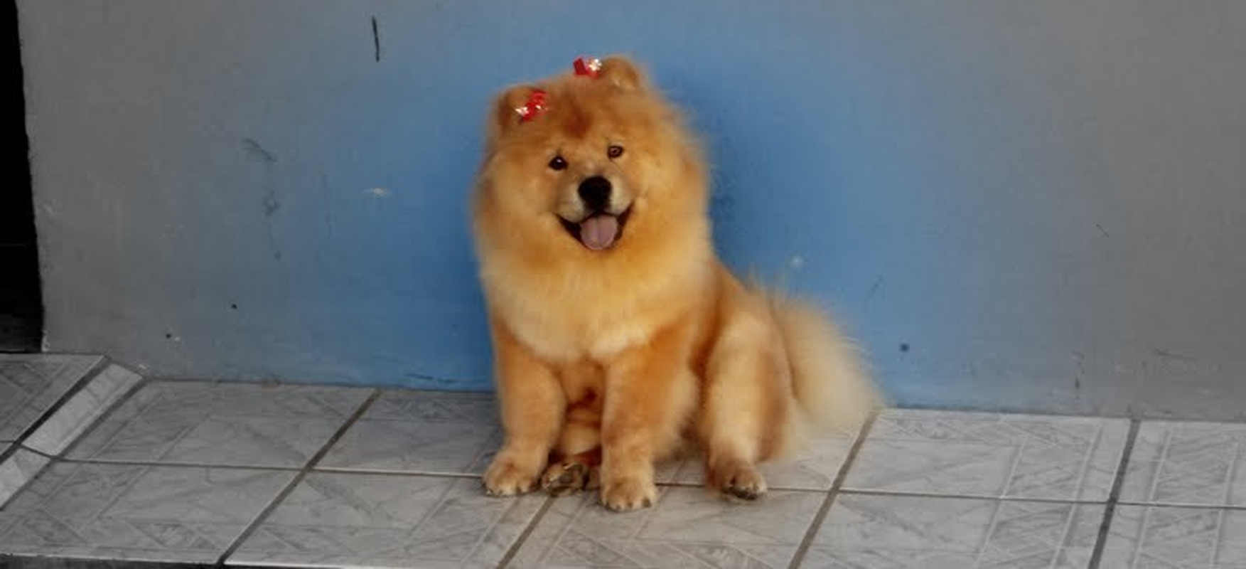 Danielly - Foto 1