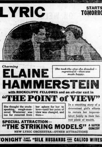 The Point of View (The Point of View)