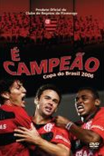 Poster de Filme É Campeão - Copa do Brasil 2006 (2006)
