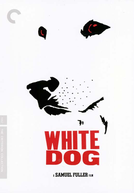 Cão Branco (White Dog)