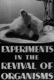 Experiments in the Revival of Organisms - Poster / Capa / Cartaz - Oficial 1