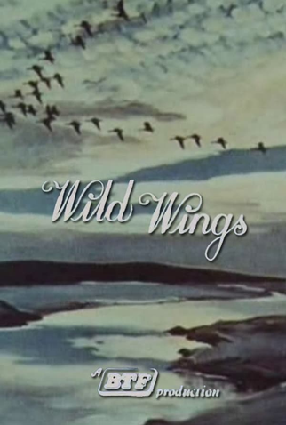 Poster 1 de Curta Wild Wings (1965)