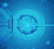 IVF