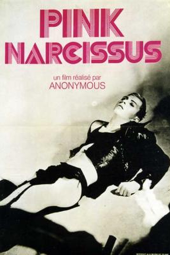  de Filme Pink Narcissus (1971)