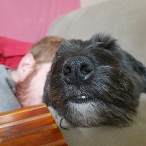 Foto de perfil de Renata