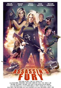 Assassin's Fury (Assassin's Fury)
