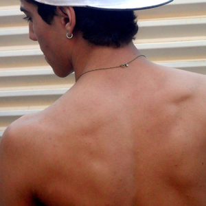 Foto de perfil de Wilton Martins