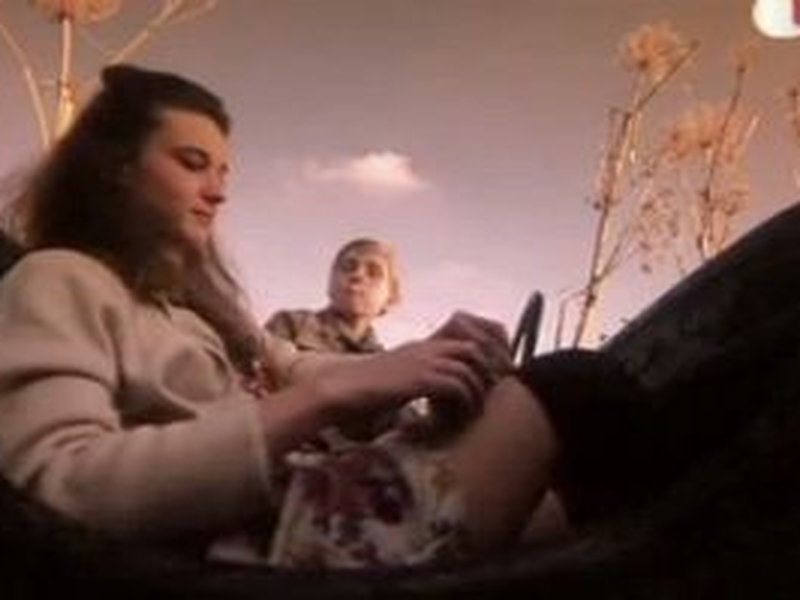 Foto 2 de Vilko dantu karoliai