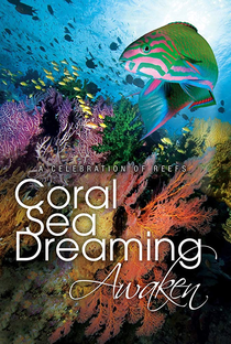 Coral Sea Dreaming: Awaken - Poster / Capa / Cartaz - Oficial 1