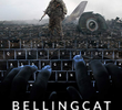 Bellingcat: A Verdade em um Mundo Pós-Verdade