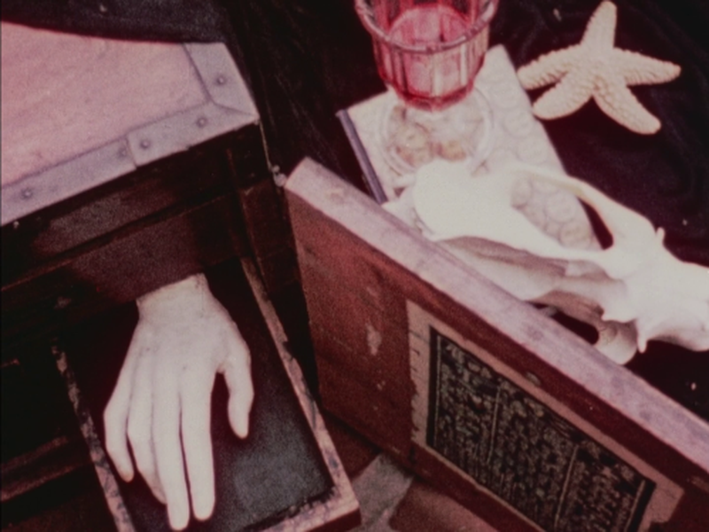 Foto 1 de The Wormwood Star