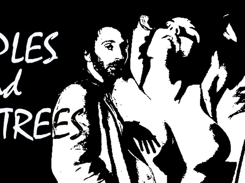 Foto 1 de Nipples & Palm Trees