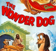 The Wonder Dog