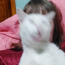 Foto de perfil de Danieli