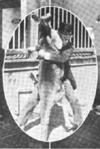 Poster 1 de Curta Wanted - A Bad Man (1917)