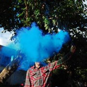 Foto de perfil de José Luís