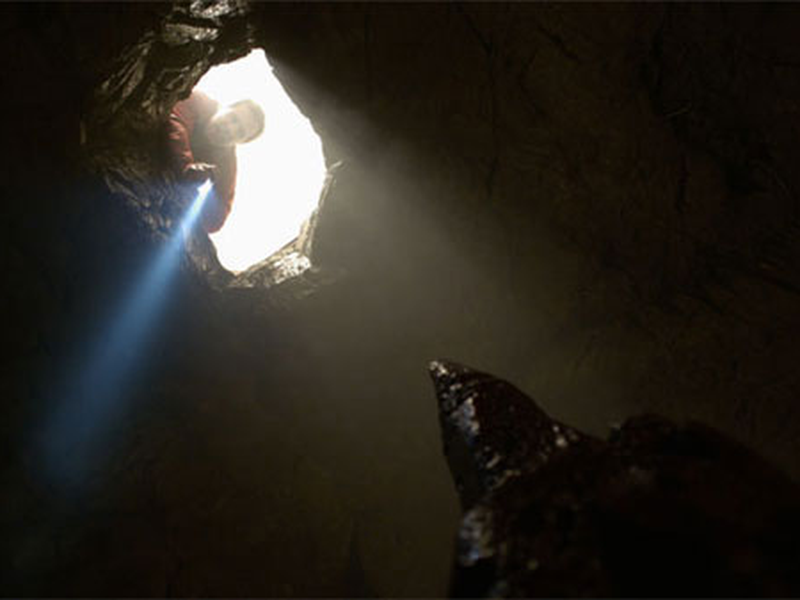 Foto 2 de Demônios da Tasmânia