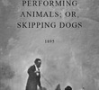 Performing Animals; or, Skipping Dogs