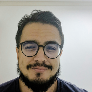 Foto de perfil de Roberto Linhares