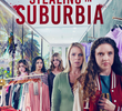 Roubo no Subúrbio