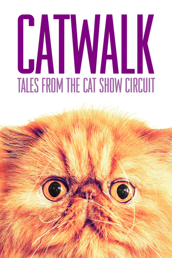  de Filme Gatos na Passarela (2018)