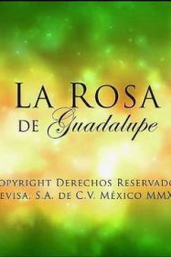  de Série A Rosa dos Milagres (2008)