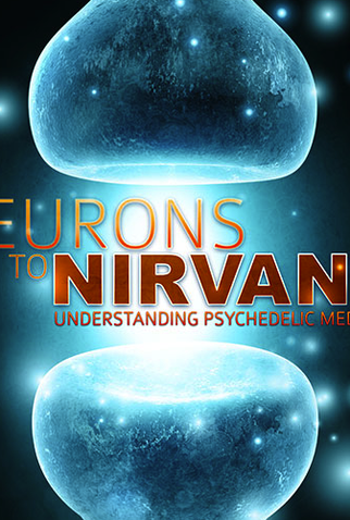 Poster 1 de Filme Neurônios ao Nirvana (2013)