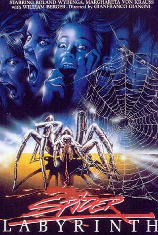 Poster 4 de Filme The Spider Labyrinth (1988)