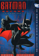 Batman do Futuro (1ª Temporada)