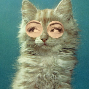 Foto de perfil de Cinthia Elizabet Otto