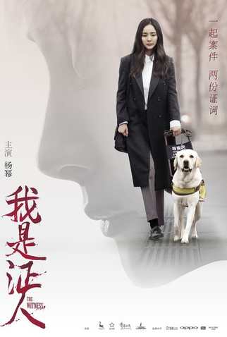 Poster 12 de Filme The Witness (2015)
