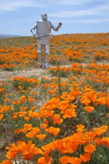 Tinwoodsman's Home Movie #2 (Tin Woodman’s Home Movie #2)