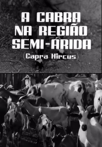 A Cabra Na Região Semi-Árida (A Cabra Na Região Semi-Árida)