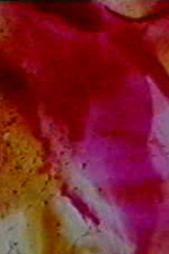 Prelude 4 (Prelude 4)