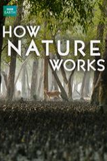 Como a natureza funciona (How Nature Works)