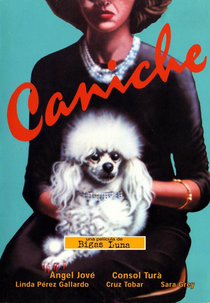 Caninos (Caniche)