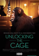 Unlocking the Cage (Unlocking the Cage)