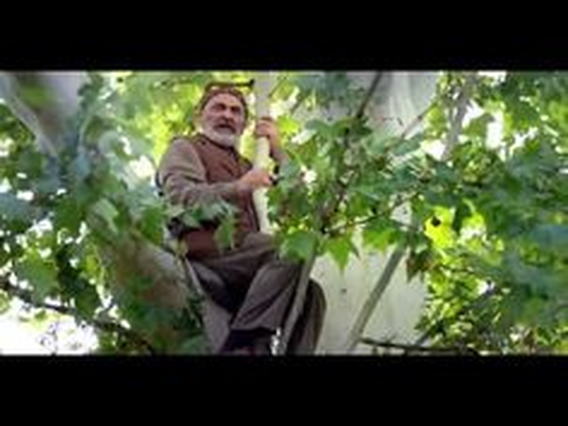 Foto 5 de Thank You, Dad