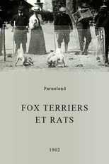 Fox terriers et rats (Fox terriers et rats)