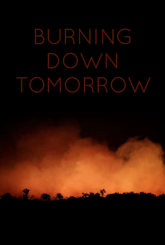 Poster 2 de Curta Burning Down Tomorrow (1990)