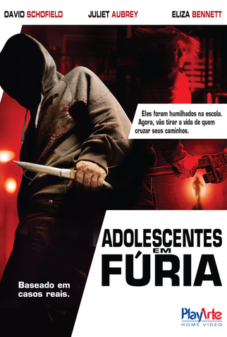 Poster 2 de Filme Adolescentes em Fúria (2010)