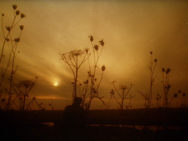 Foto 10 de Dolina Issy