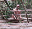 40 Days Jungle Rich